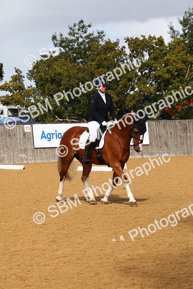 SBM_18297 - D31 - Grand Tour PYO Open .