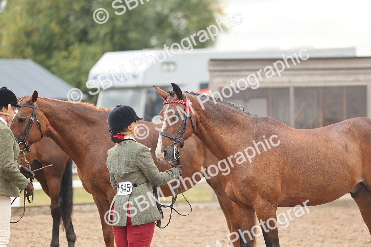 SBM_07774 - Class 27 - IH Competition Horse/Pony