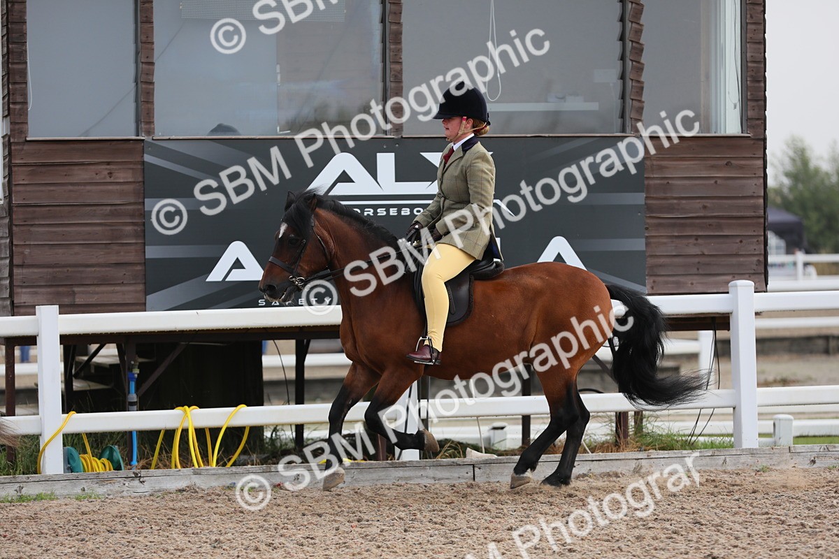SBM_09629 - Class 301 Ridden M&M -Small Breeds
