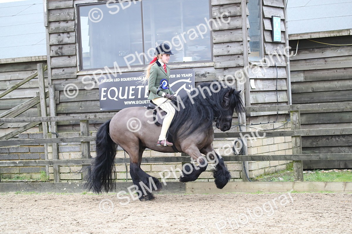 SBM_006258 - Class 10-13 - RIHS Small Large Breeds
