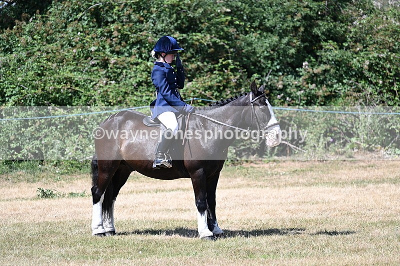 WJ7_3672 - Class 8 Ridden Veterans