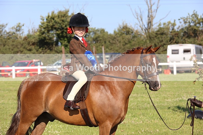 JPP_0888 - Class 16: Cornish Combination Leading Rein