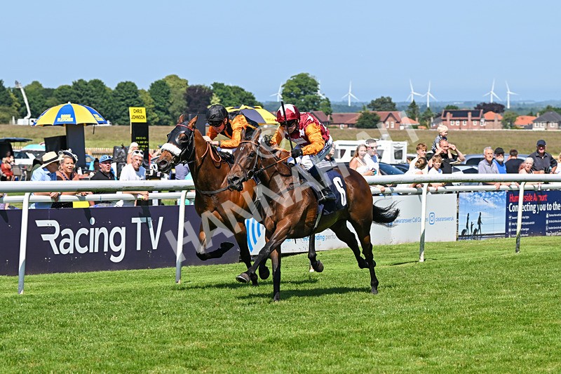 250624-Race 4-Lincoln Rockstar-5636 - Race 4