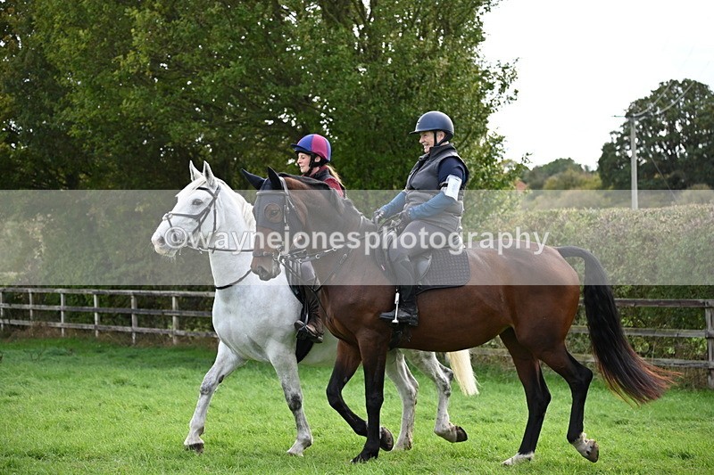 WJ6_4646 - Time 14:10 to 14:59