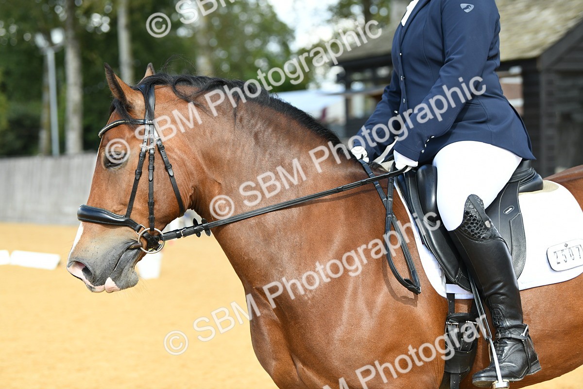 SBM_07427 - D15 Small Tour Championship Novice 24