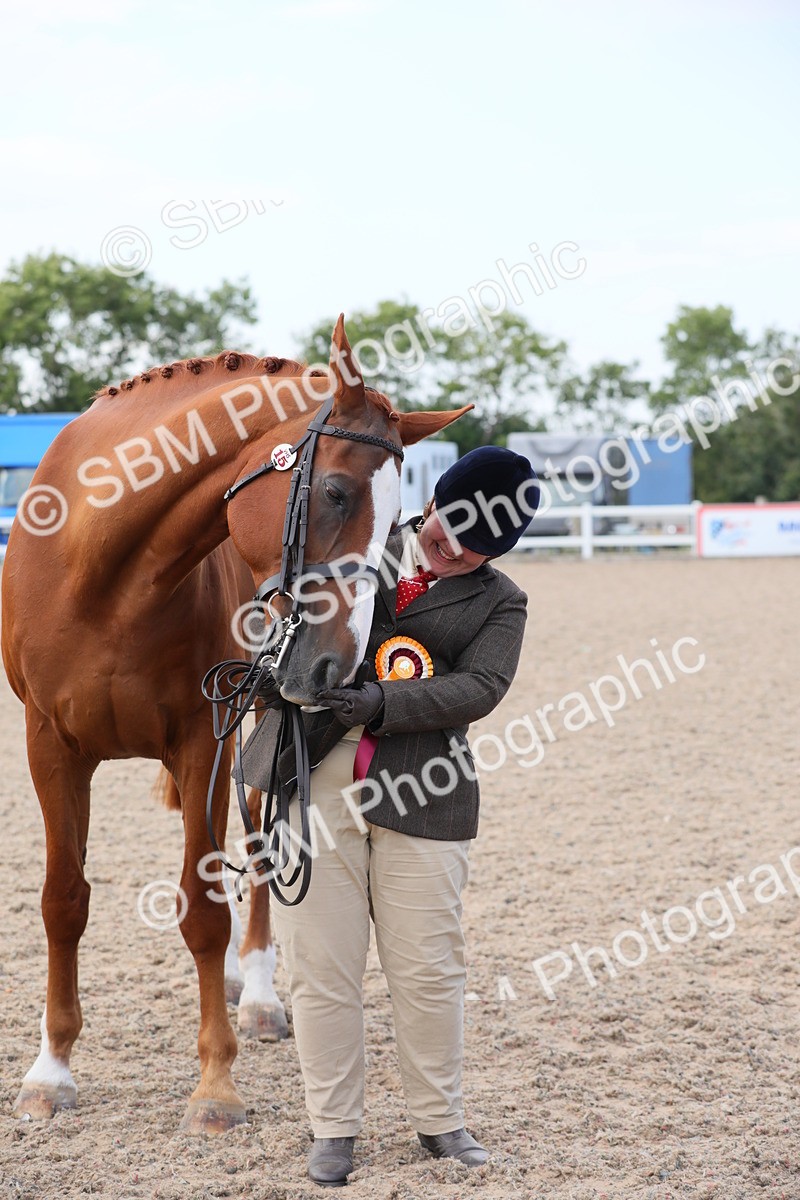 SBM_15859 - Class 312 IH Competition Horse/Pony