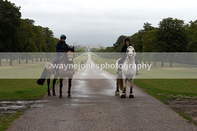 TT3_8305 - Time at Crossing 10:16 to 11:38