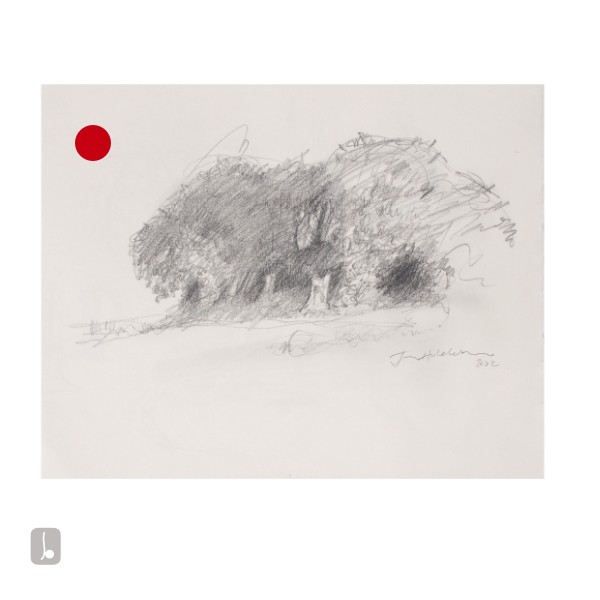 Copse Sketch - sold - Glimmer