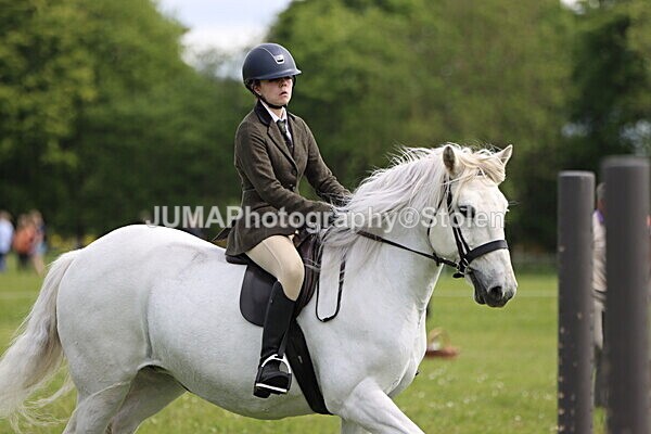 IMG_2710 - Working Hunter