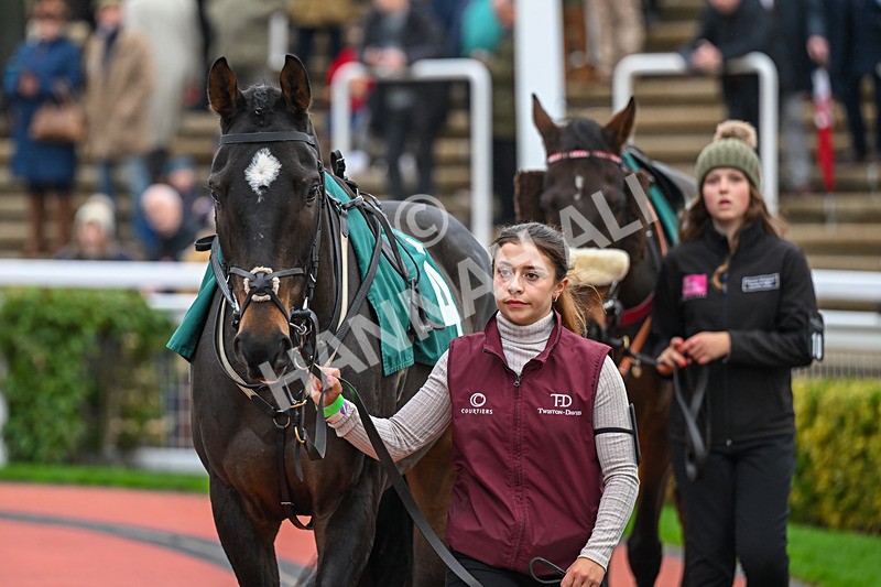 151125-Race 2-Ballycamus-2619 - Race 2