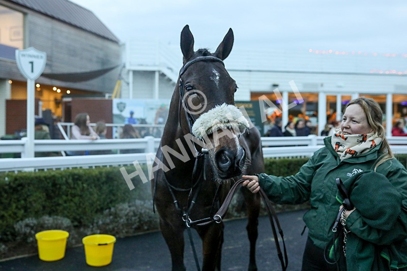 010124-Race 6-Abbeyhill-4567 - Race 6