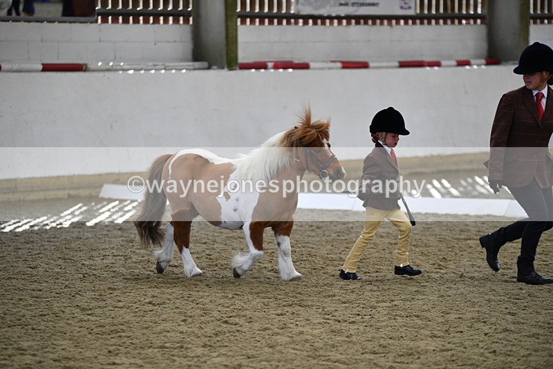 WJ5_4902 - Class 7 In hand coloured / odd coloured