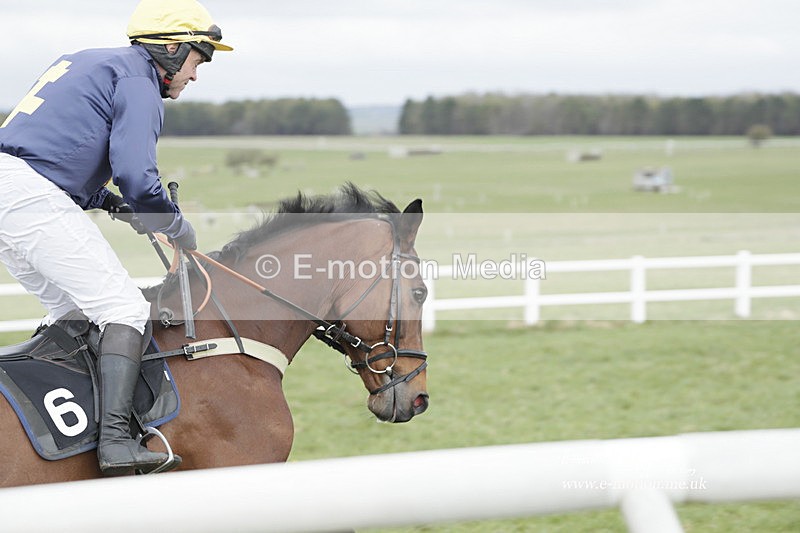 PtP 260323 0442 - New Forest Hounds Point-to-Point Larkhill 26/03/23