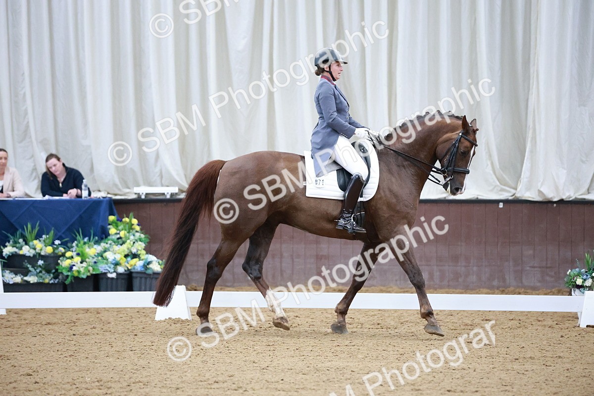 SBM_008779 - Class 14 - FEI PSG - 9.30-10.30