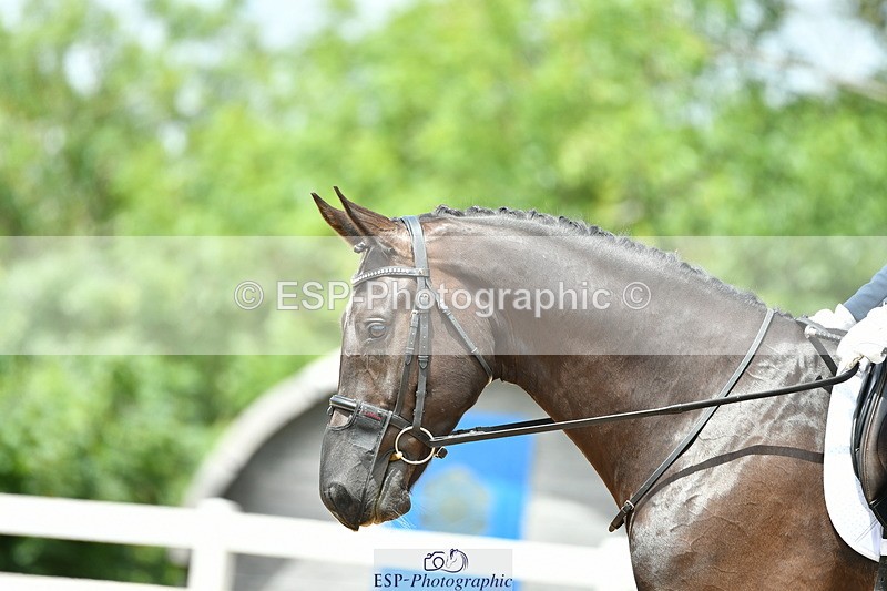 230702A-133123-09529 - Cls 29 Elementary 57