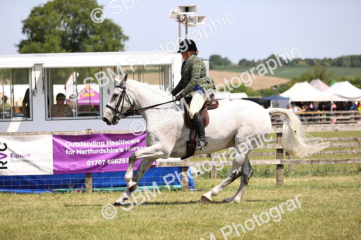 SBM_16128 - Class 79-80 - LIHS BSHA Rising Star Ridden Hunter