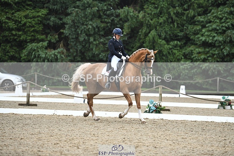 240720-144723-05792 - 187-Clare_Smith-Dori_Dragon_Fly
