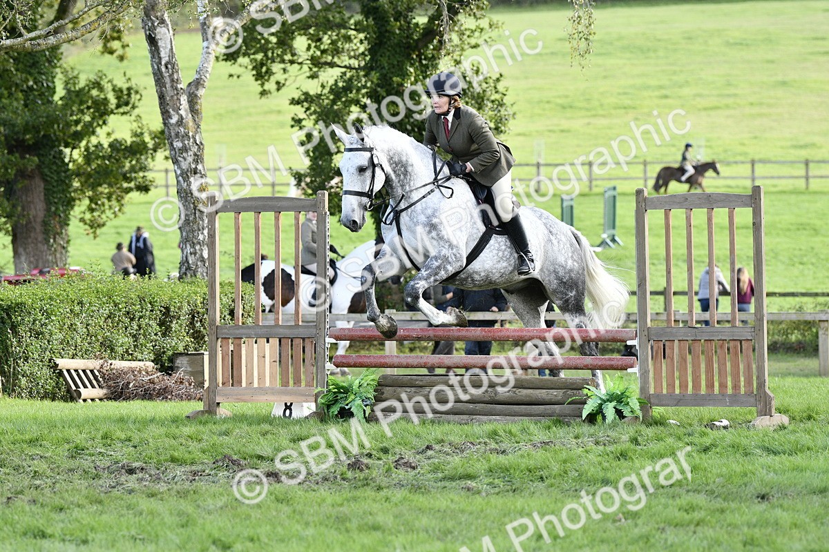 SBM_52172 - S35 - Working Hunter & Working Show Horse