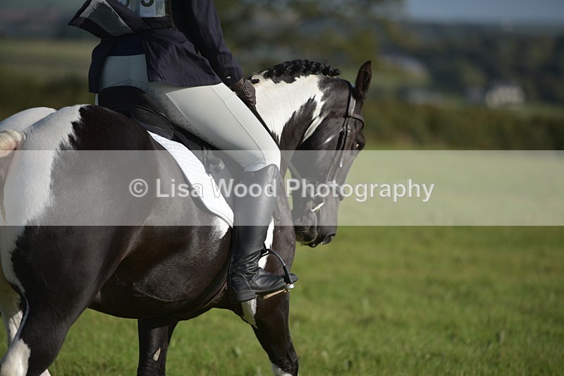 RAY_7328 - Class 2B: Trekenning Open: Dressage