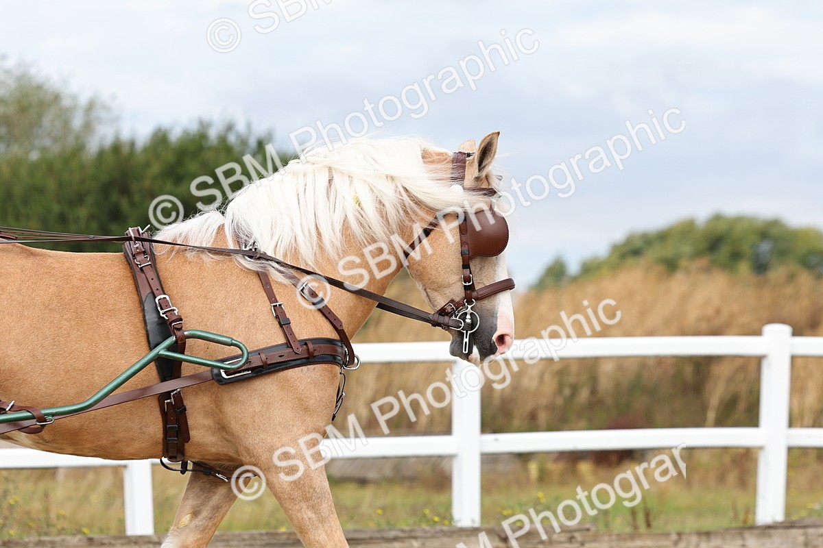 SBM_000706