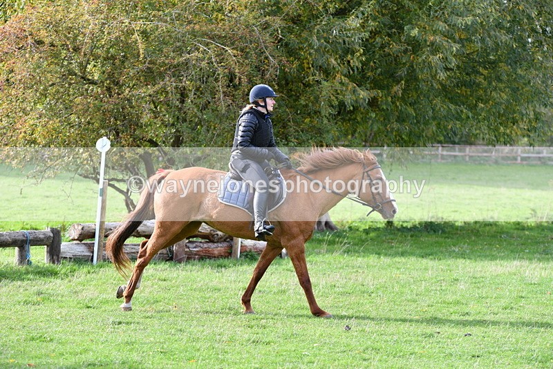 WJ5_1203 - Time 14:29 to 15:31