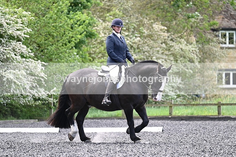 WJ7_9020 - Time 11:32 to 11:54