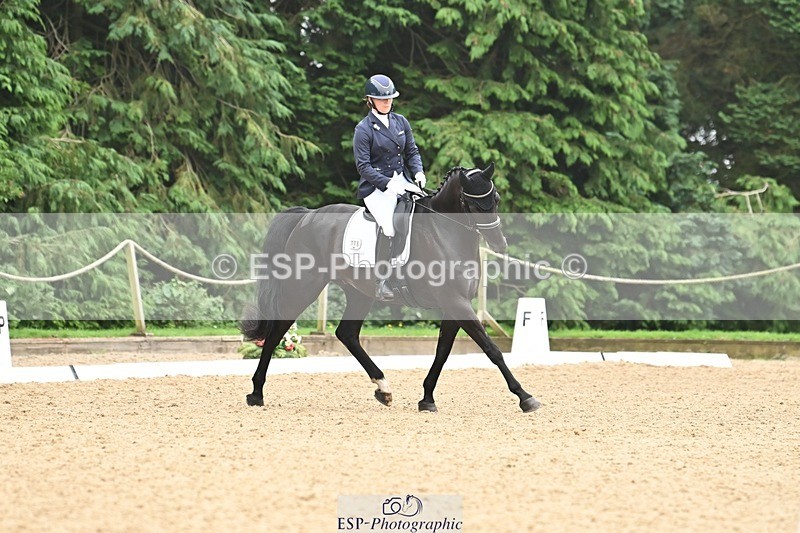 240811-115800-05310 - 118-Katie.Kneen-Springtime.Evergreen