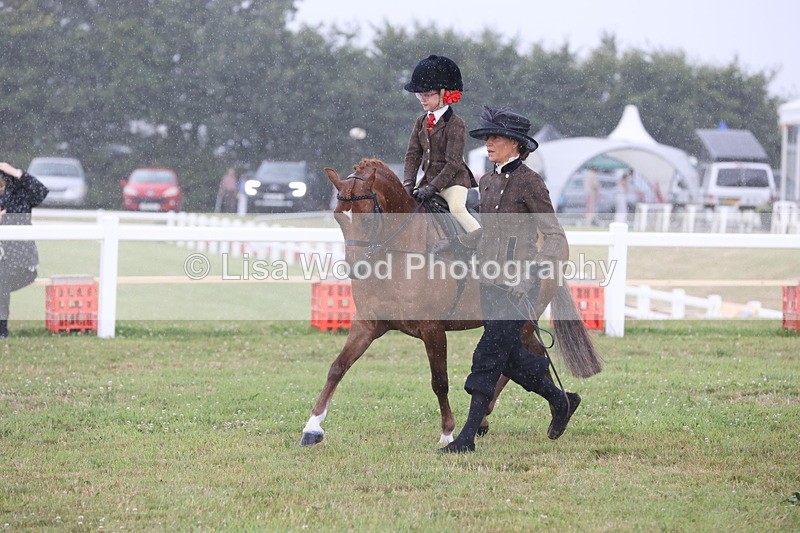 JPP_0371 - Class 14: Cornish Combination Leading Rein