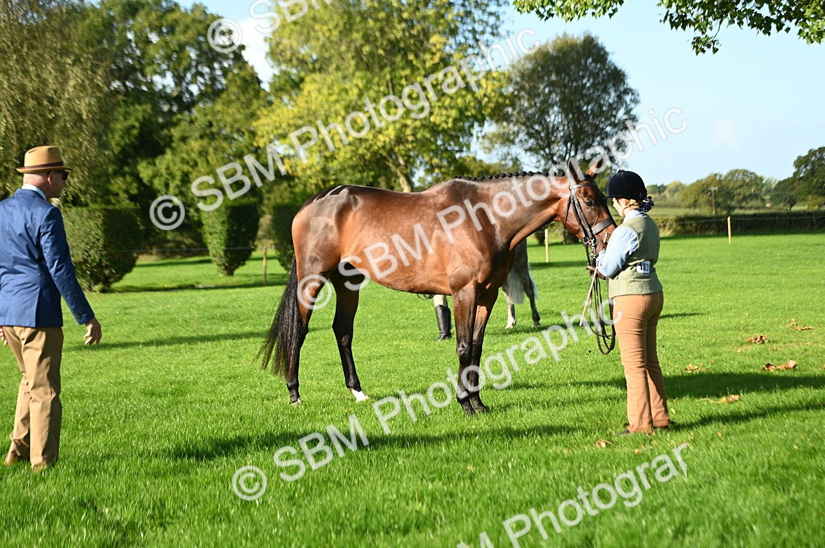 SBM_14743 - S1 - TSR in Hand Horse & Pony Showing