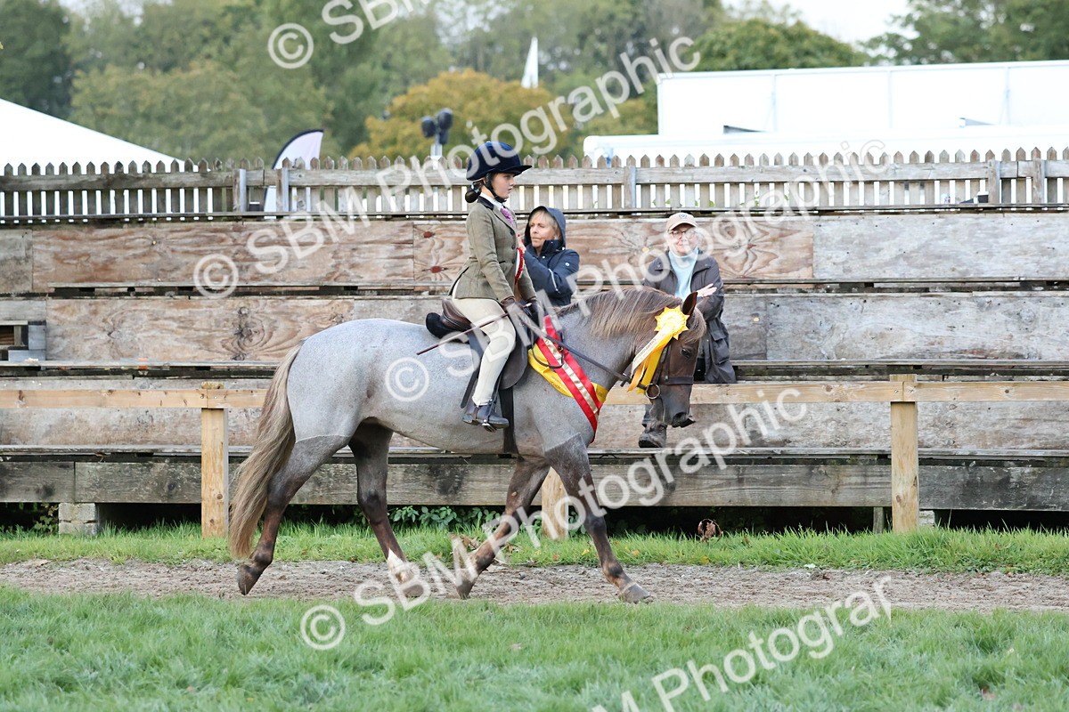 SBM_53406 - Super Supreme Championship (Sat)