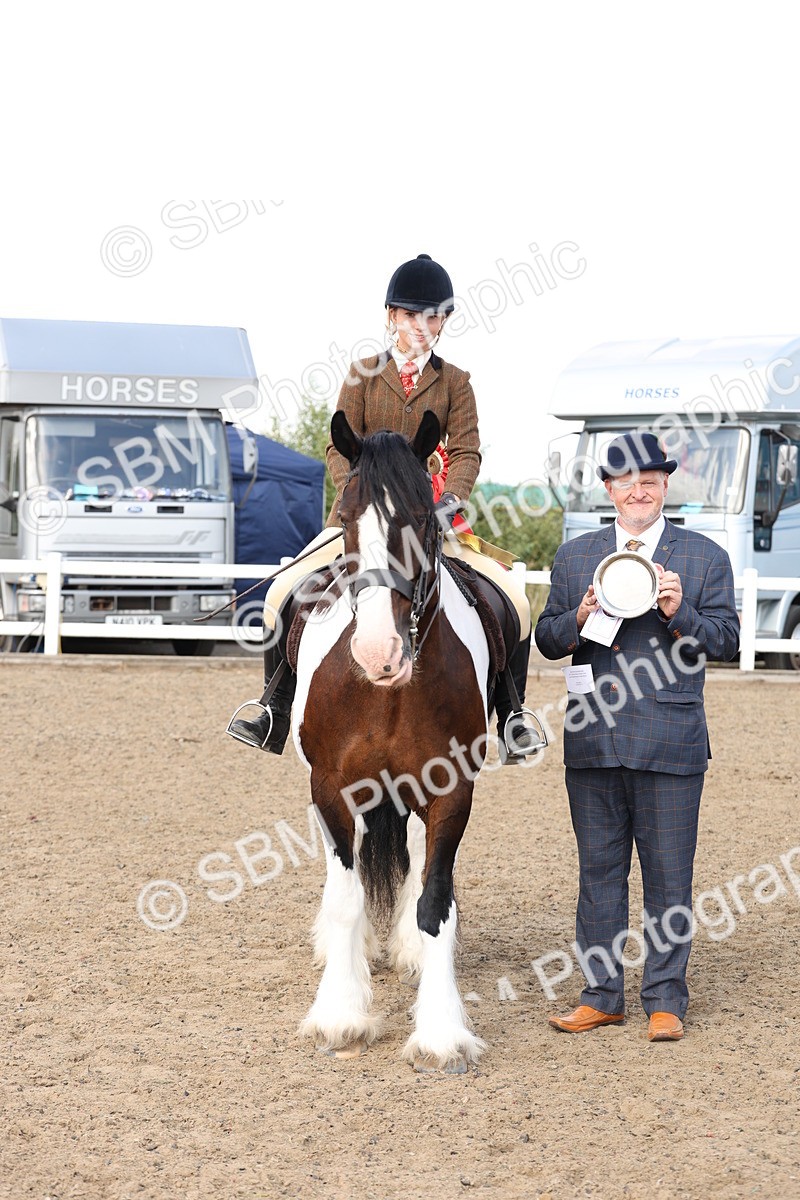 SBM_07414 - Class 58b -  Style & Performance - 70cm (20+)