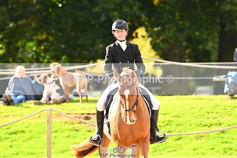 231020-144131-10016 - 309-CROSSTOWN.FINTANS.LAST-Catherine.Burrell-DR