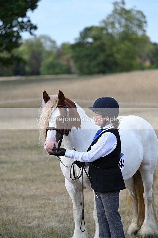 WJ7_8339 - In-hand Championship