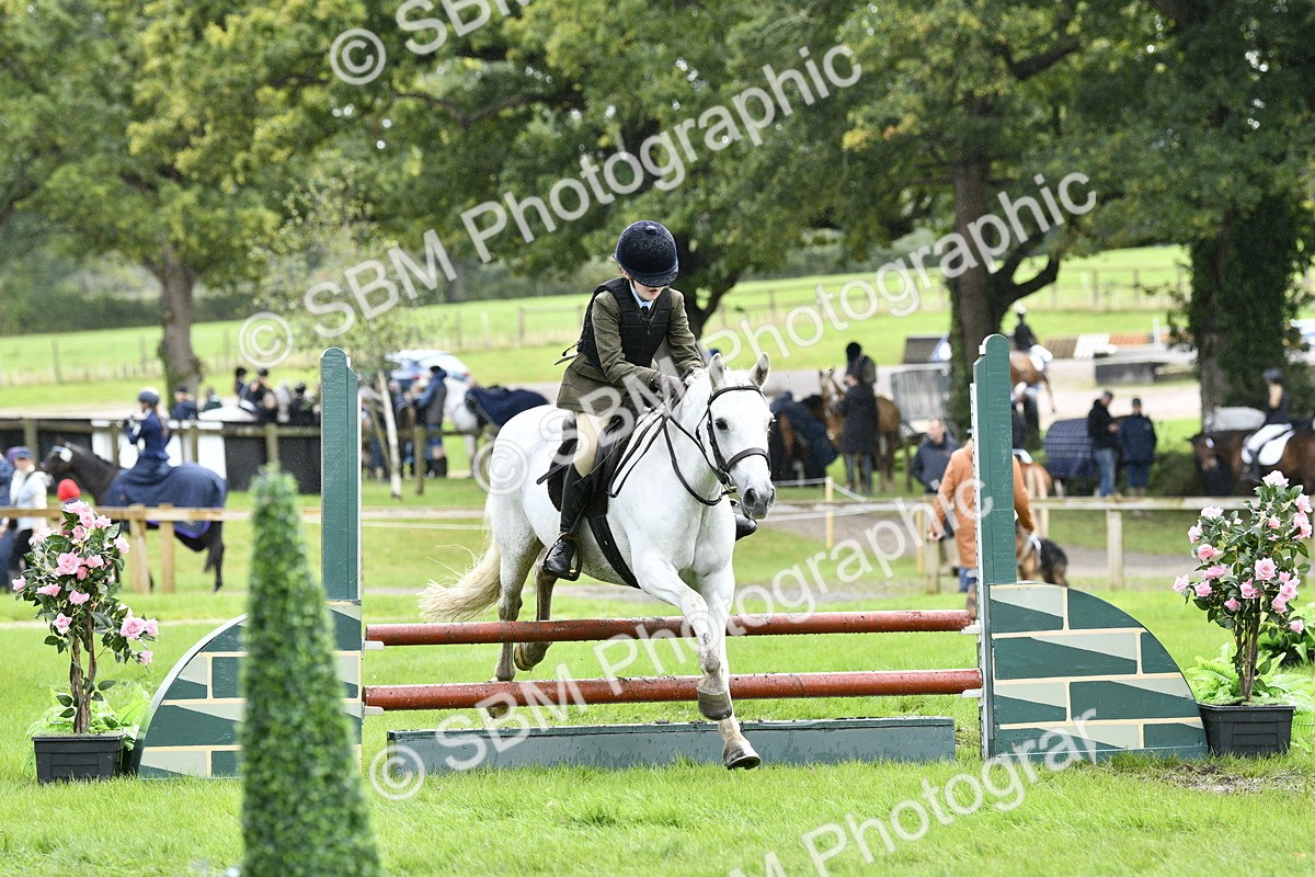 SBM_45588 - S33 - Working Hunter Pony