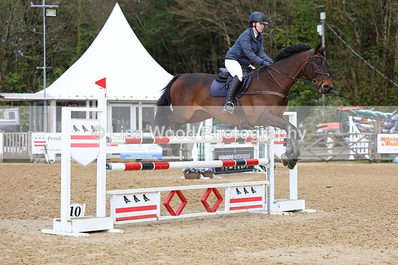 3E7A2087 - Class 8: Senior Foxhunter/1.20 open