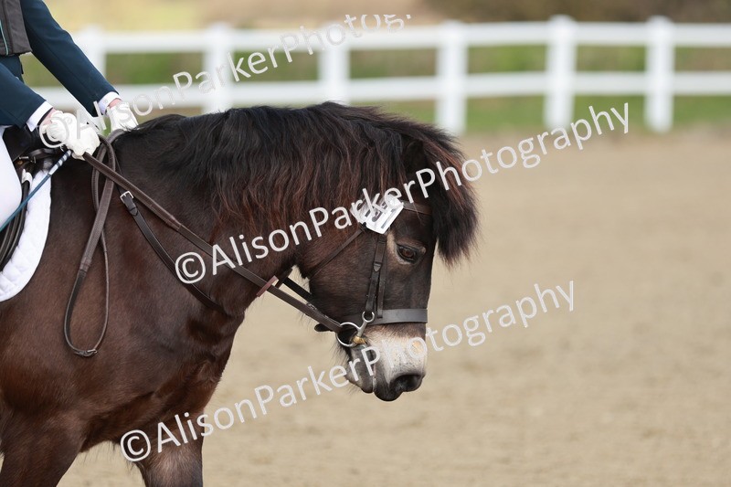 20260314-1089 - DR2 - Intro 3