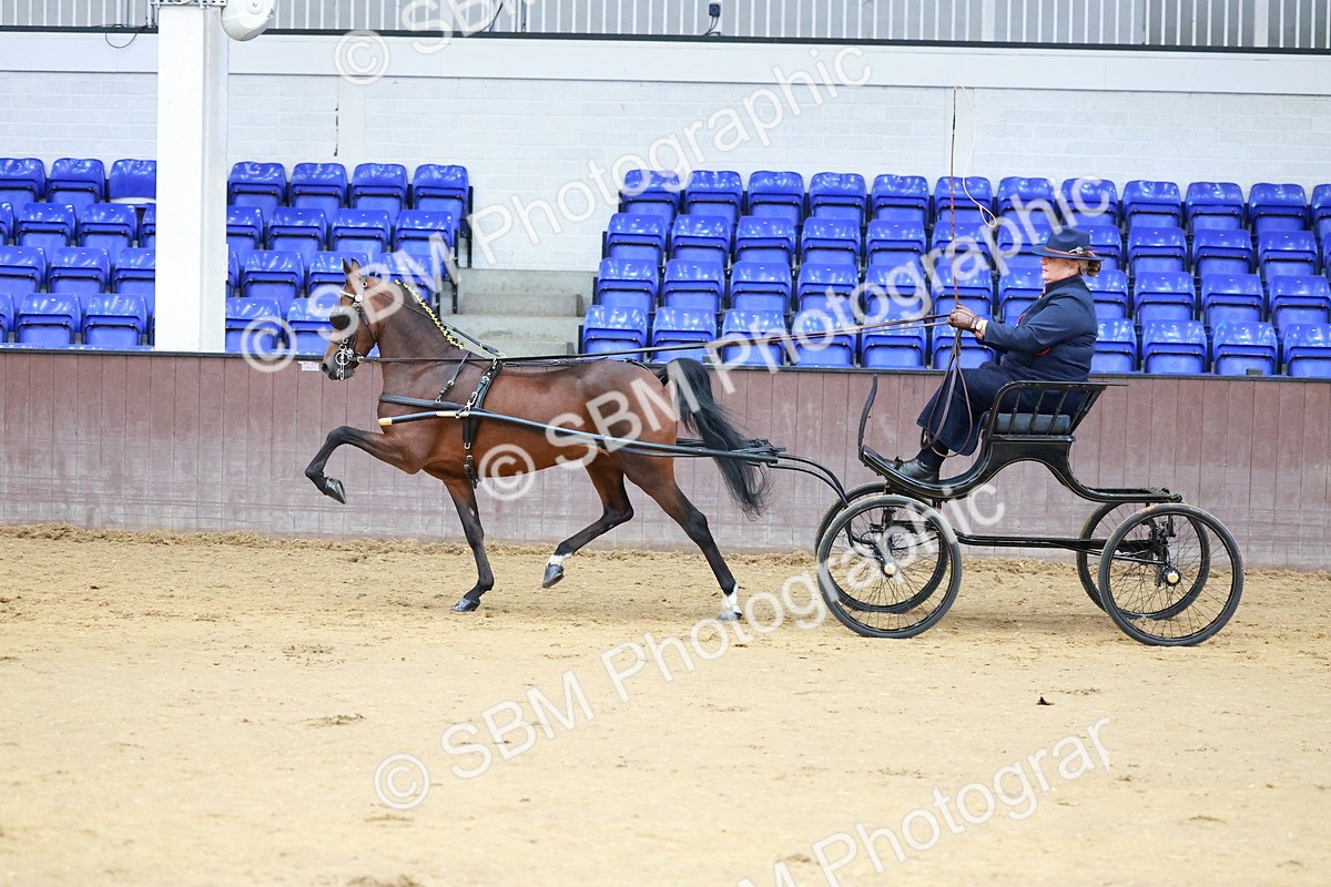 SBM_000640 - Class 9 - HHS Championship Intl Hackney Pony to a Showwagon