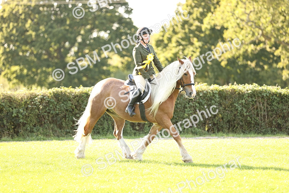 SBM_26512 - S6 - Novice & Newcomers Ridden Horse