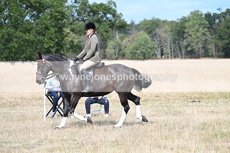 WJ7_5891 - Class 13 Ridden Veterans