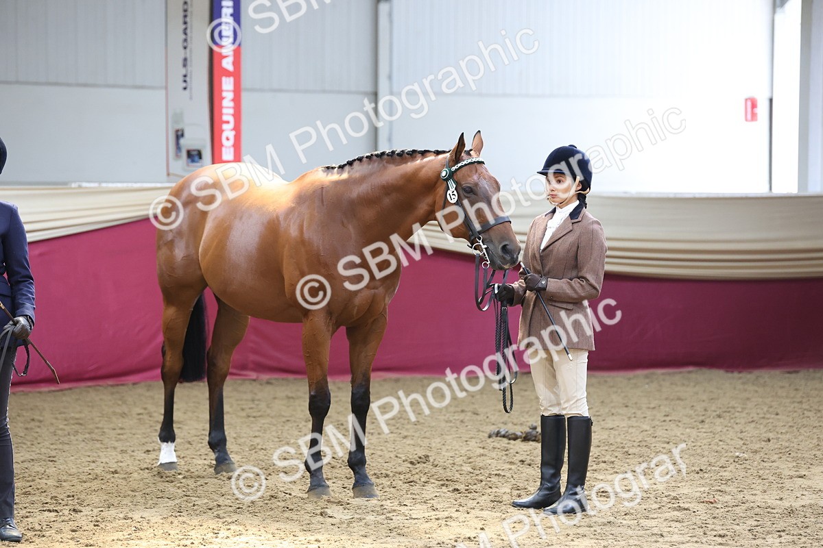 SBM_23402 - Class 903 - Supreme Final - IH Pre Vet