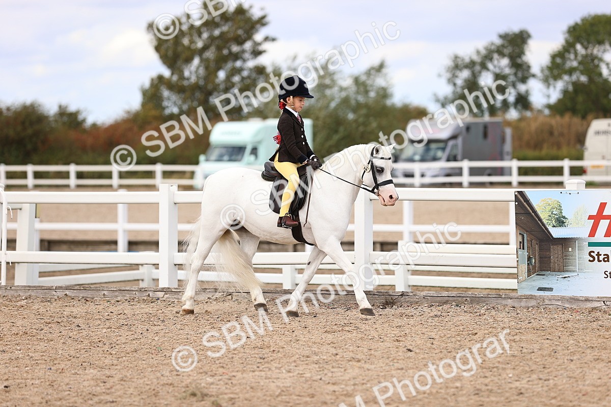 SBM_15929 - Class 416 - Prettiest Mare (IH or Ridden) Jnr