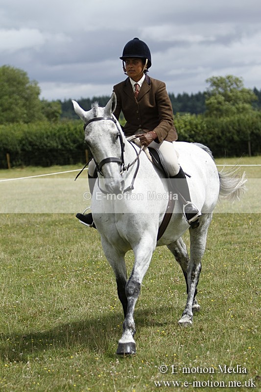 BVR160717-1834 - Ring 3 BVRC Show 16/07/17