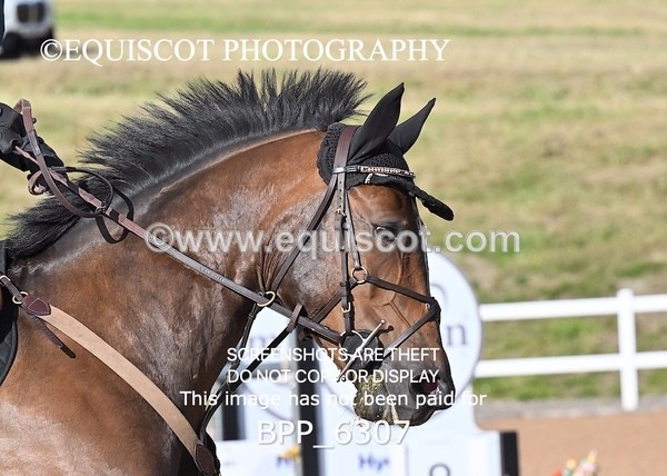 BPP_6307 - CLASS 11 THURS GFS Saddles Senior Newcomers/1.10m Open