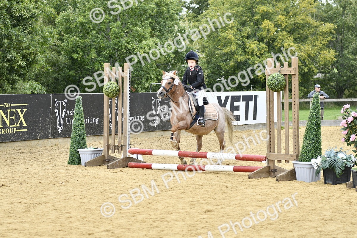 SBM_65518 - J2a mini Tour Junior Pony 30cm Championship