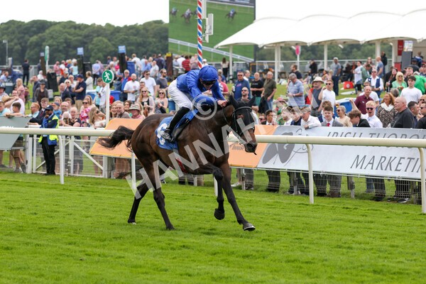 yr10062022r4-19 - Race 4 3.30pm Seat Unique Ganton Stakes