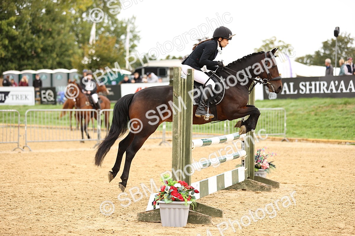 SBM_58299 - J41 - Grand Tour Horse & Pony 95cm