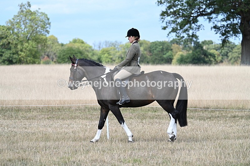 WJ7_5752 - Class 13 Ridden Veterans