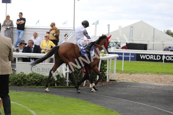 yr19082022r3-1 - Race 3 3.00pm Al Basti Equiworld Dubai Gimcrack Stakes