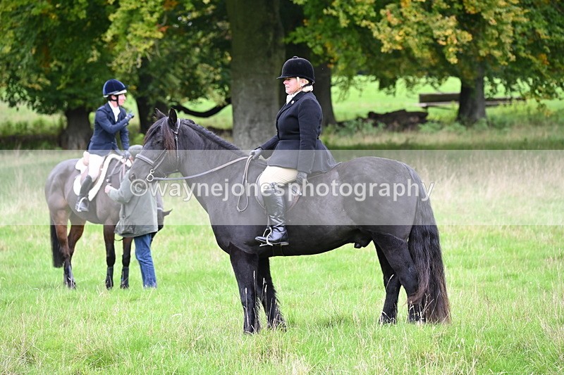 WJ6_9972 - Camera 2 Meet