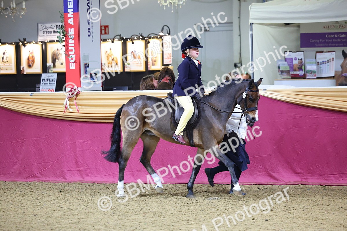 SBM_18988 - Class G Ridden Pony Champ